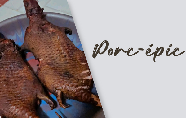 Porc épic entier