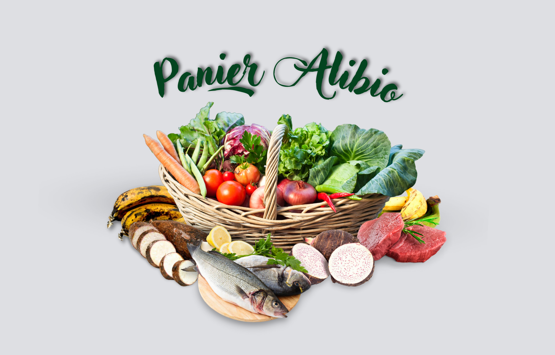 01 Panier ALIBIO