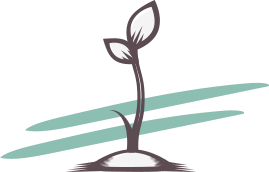 plantation & croissance avec amour
