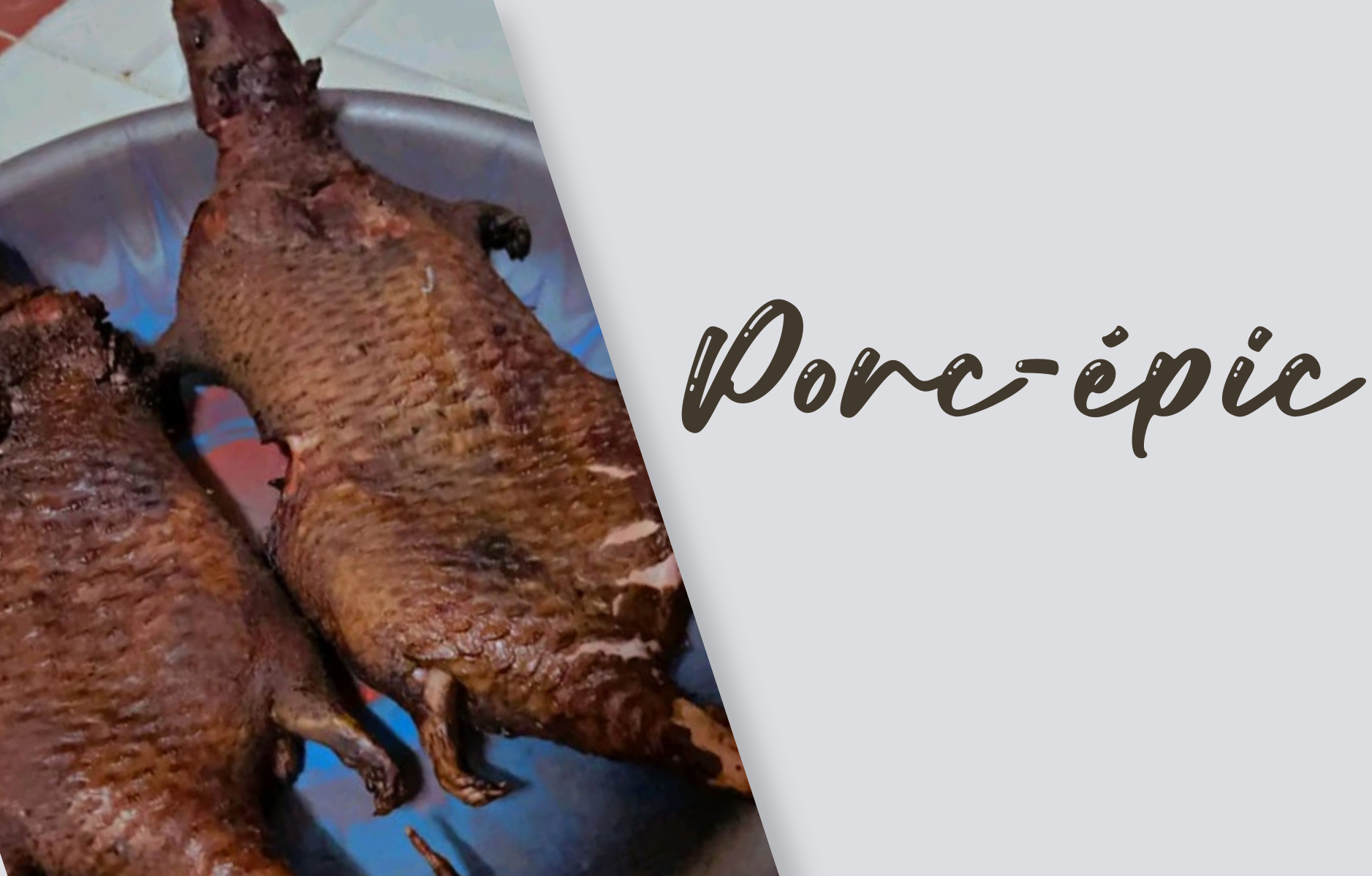 Porc épic entier
