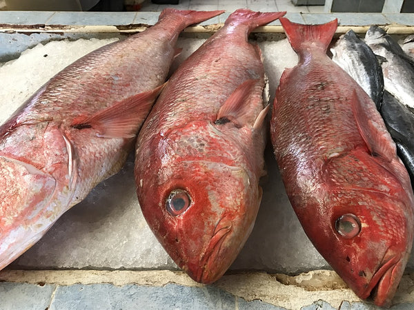 Fillet de poisson rouge en saumure